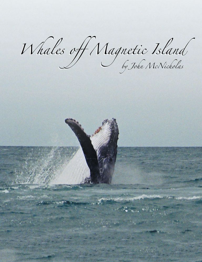 Whales off Magnetic Island