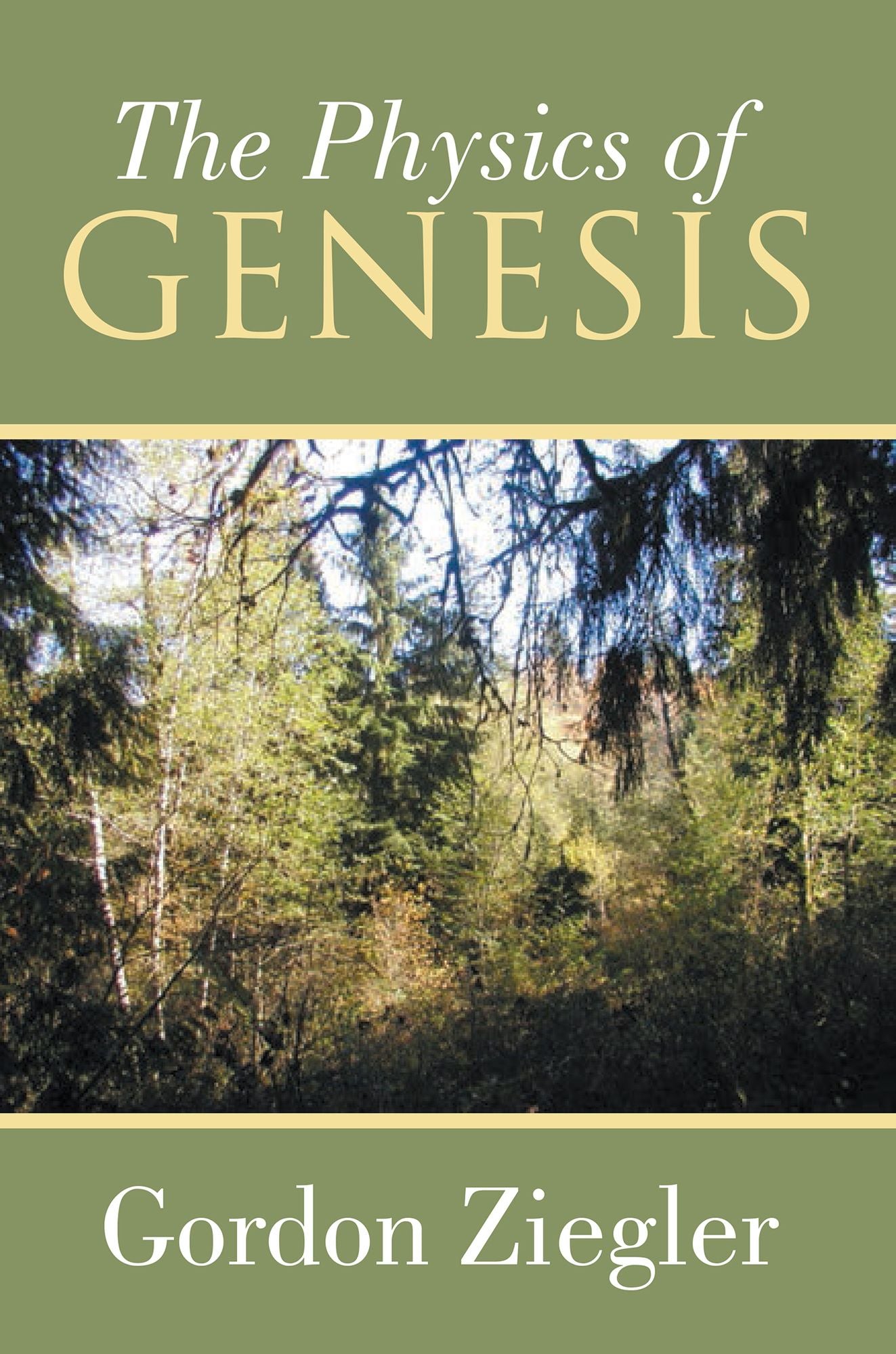 The Physics of Genesis