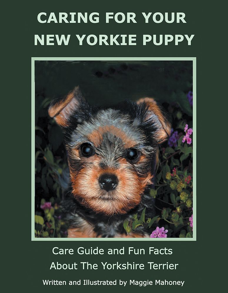 CARING FOR YOUR NEW YORKIE PUPPY: Care Guide and Fun Facts About The Yorkshire Terrier