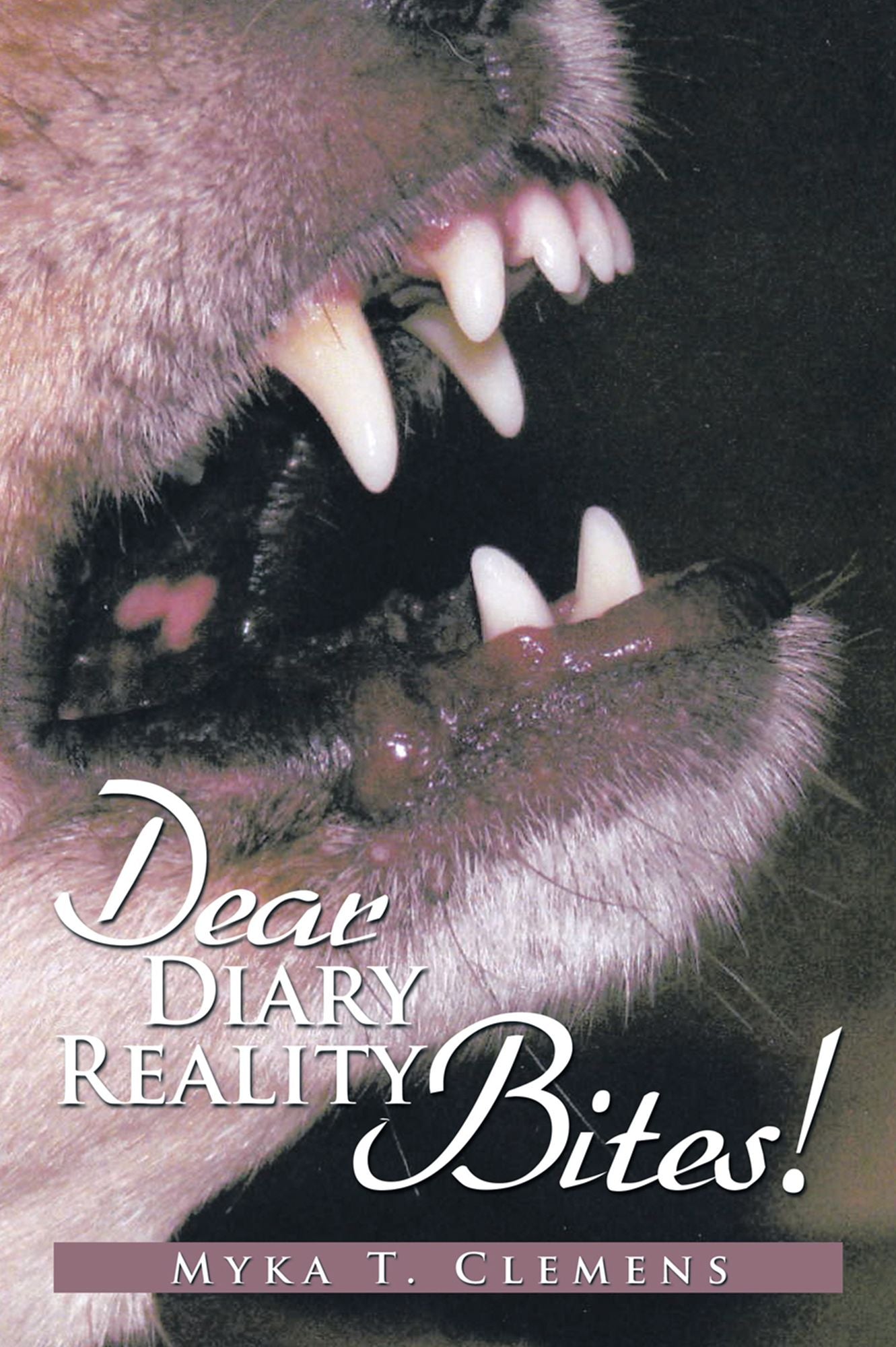 Dear Diary , Reality Bites !