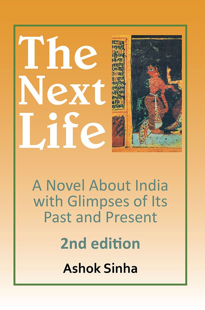 The Next Life: A Novel About India with Glimpses of Its Past and Present 2nd Edition