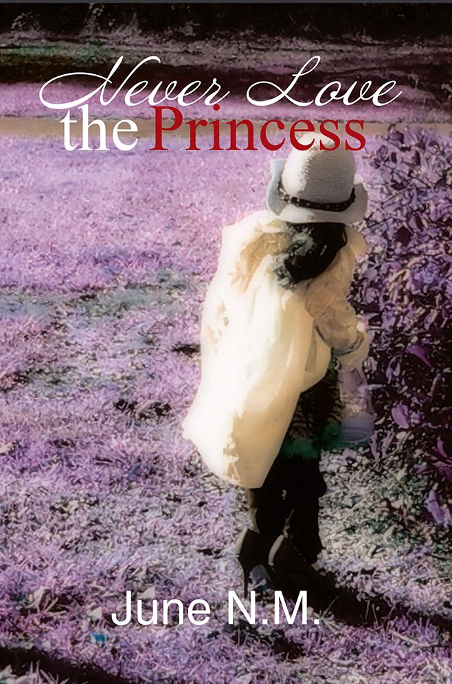 Never Love the Princess