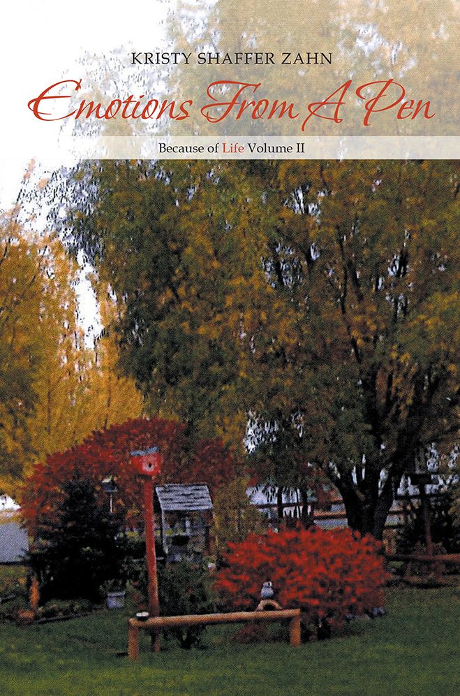 Emotions from a Pen: Because of Life Volume Ii