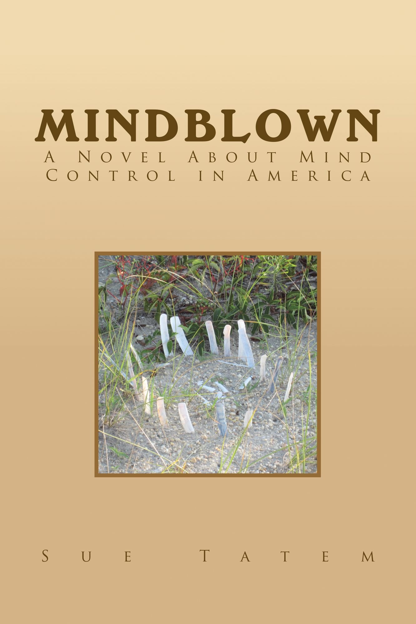 MindBlown: A Novel About Mind Control in America