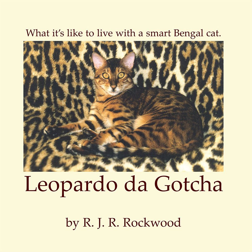 Leopardo da Gotcha: What it's like to live with a really smart Bengal cat