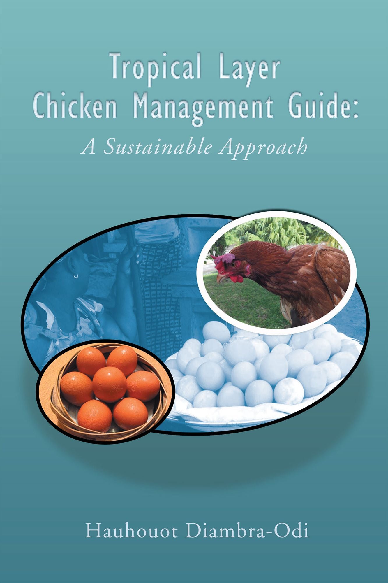 Tropical Layer Chicken Management Guide: A Sustainable Approach