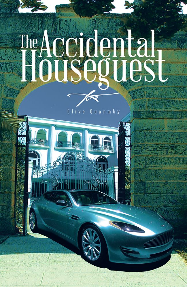 The Accidental Houseguest