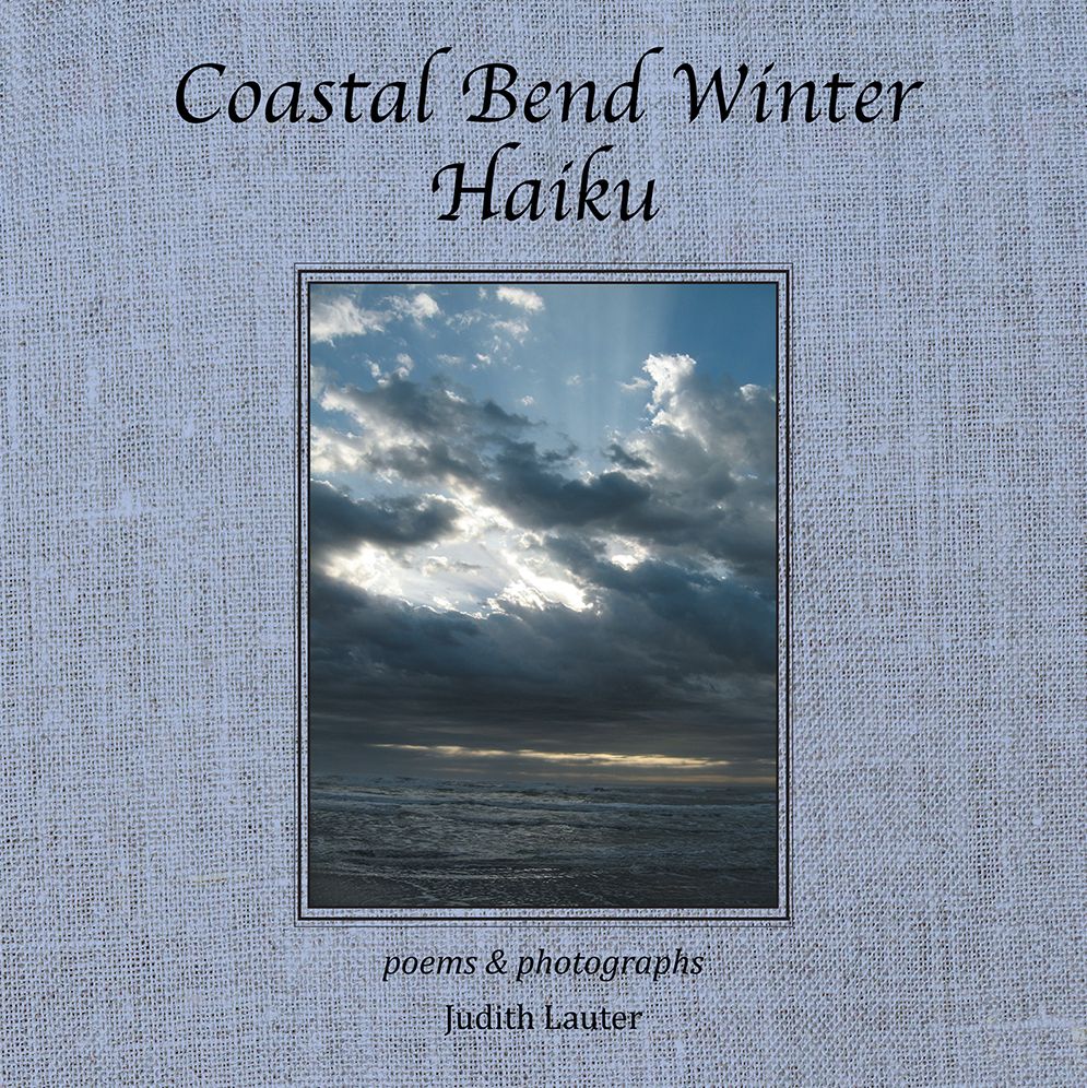 Coastal Bend Winter Haiku: poems & photographs