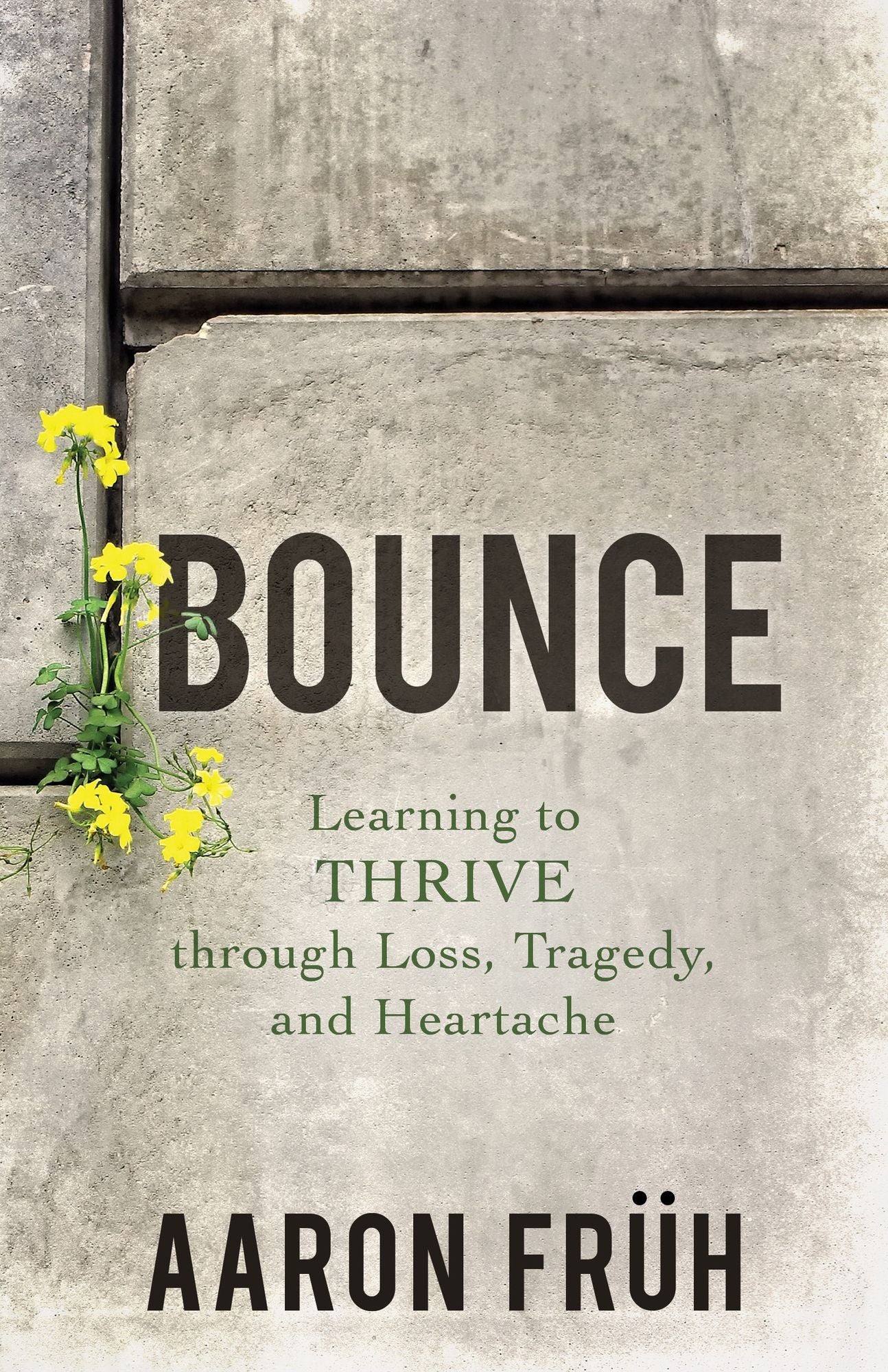 Bounce: Learning to Thrive through Loss, Tragedy, and Heartache