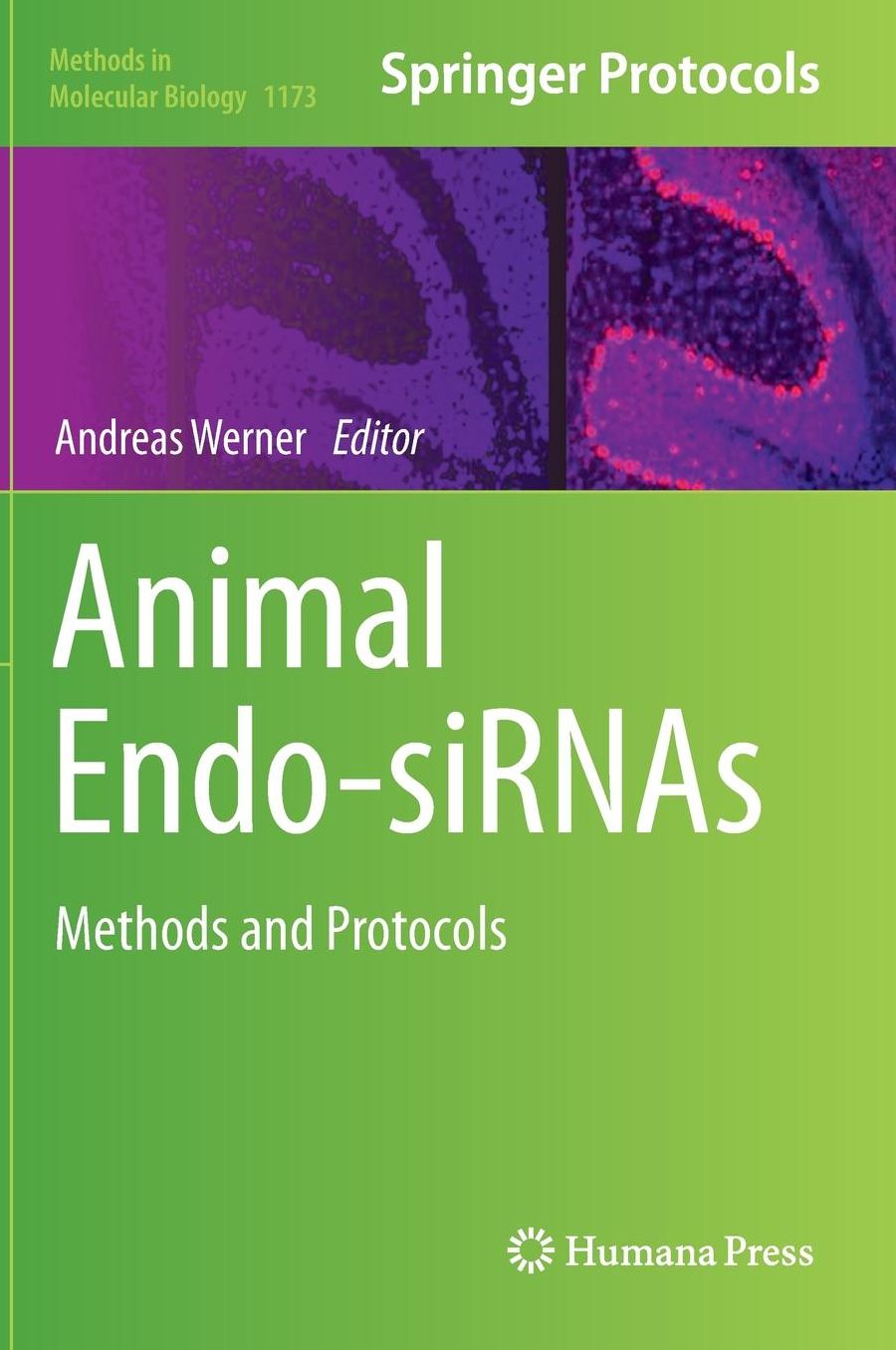 Animal Endo-SiRNAs: Methods and Protocols