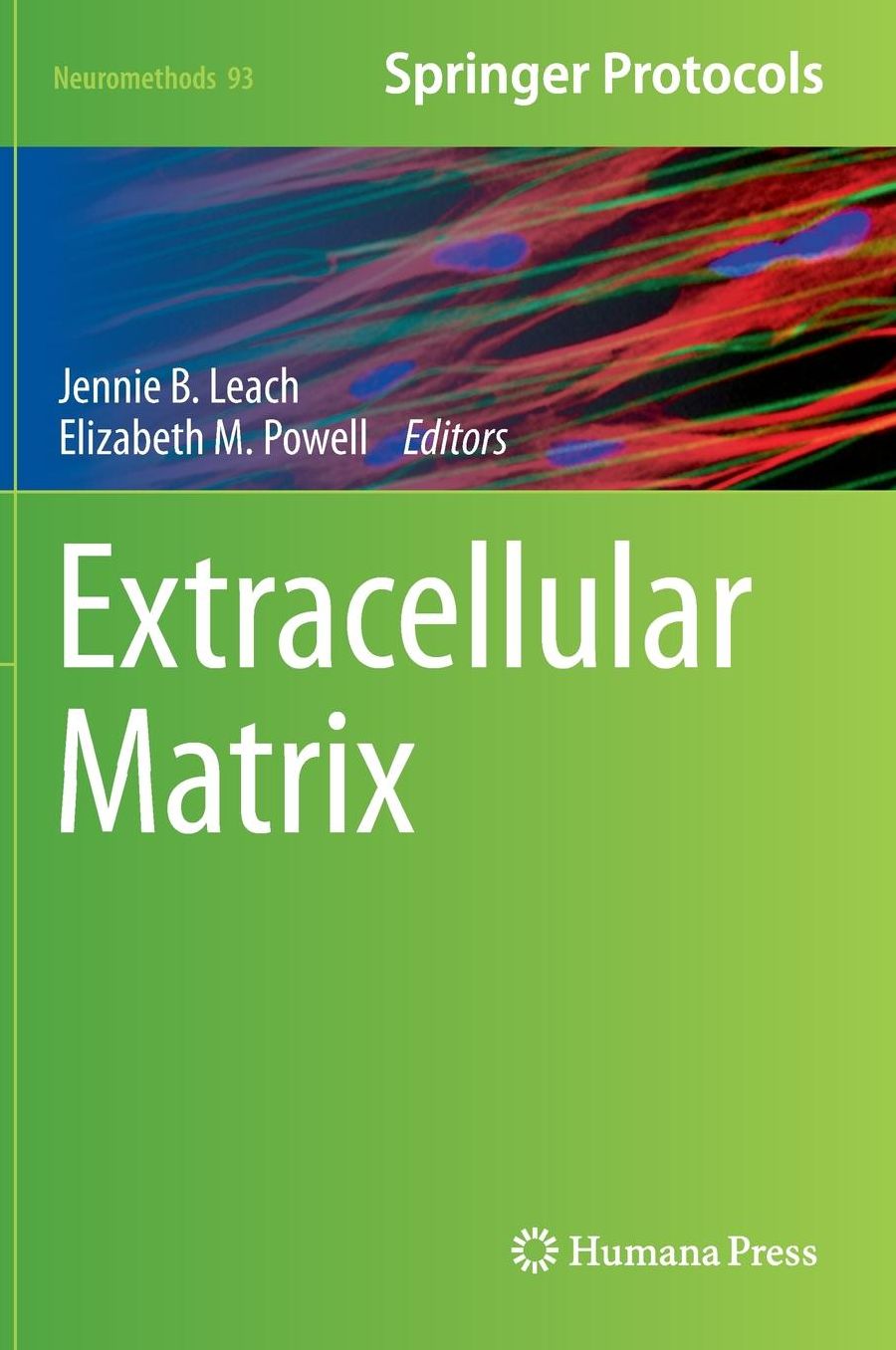 Extracellular Matrix