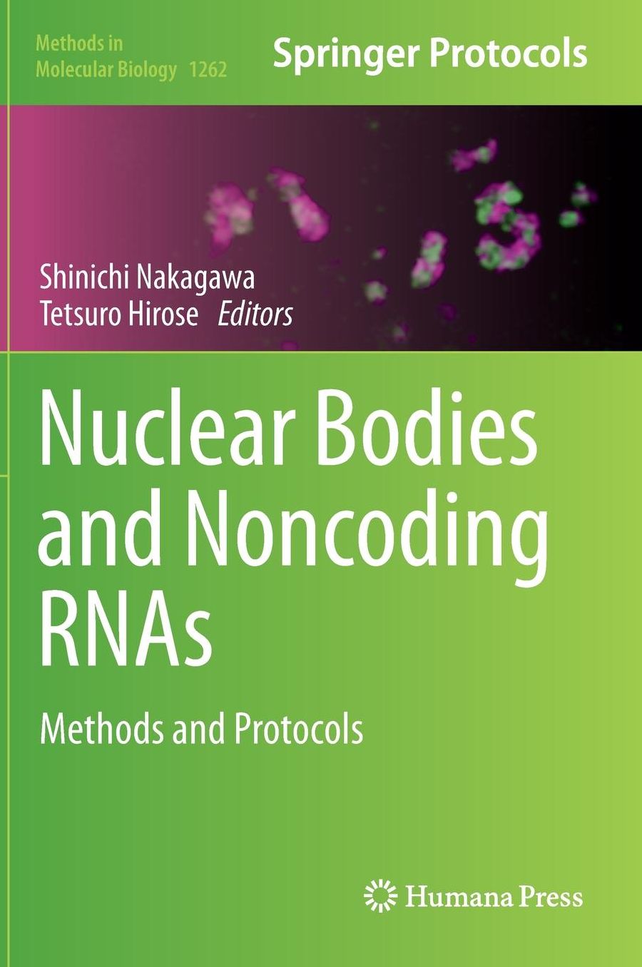 Nuclear Bodies and Noncoding RNAs: Methods and Protocols