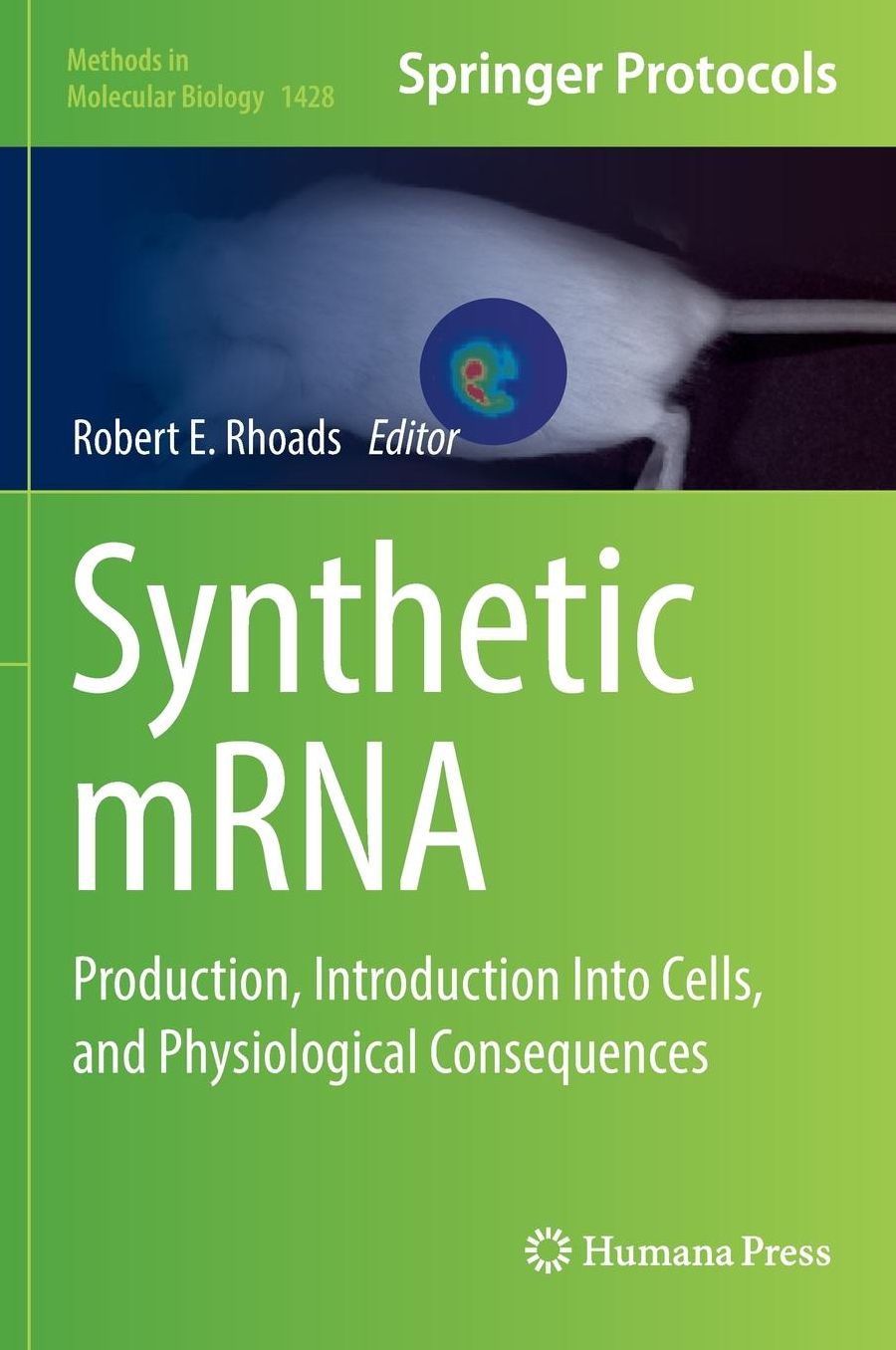 Synthetic mRNA: Production, Introduction Into Cells, and Physiological Consequences