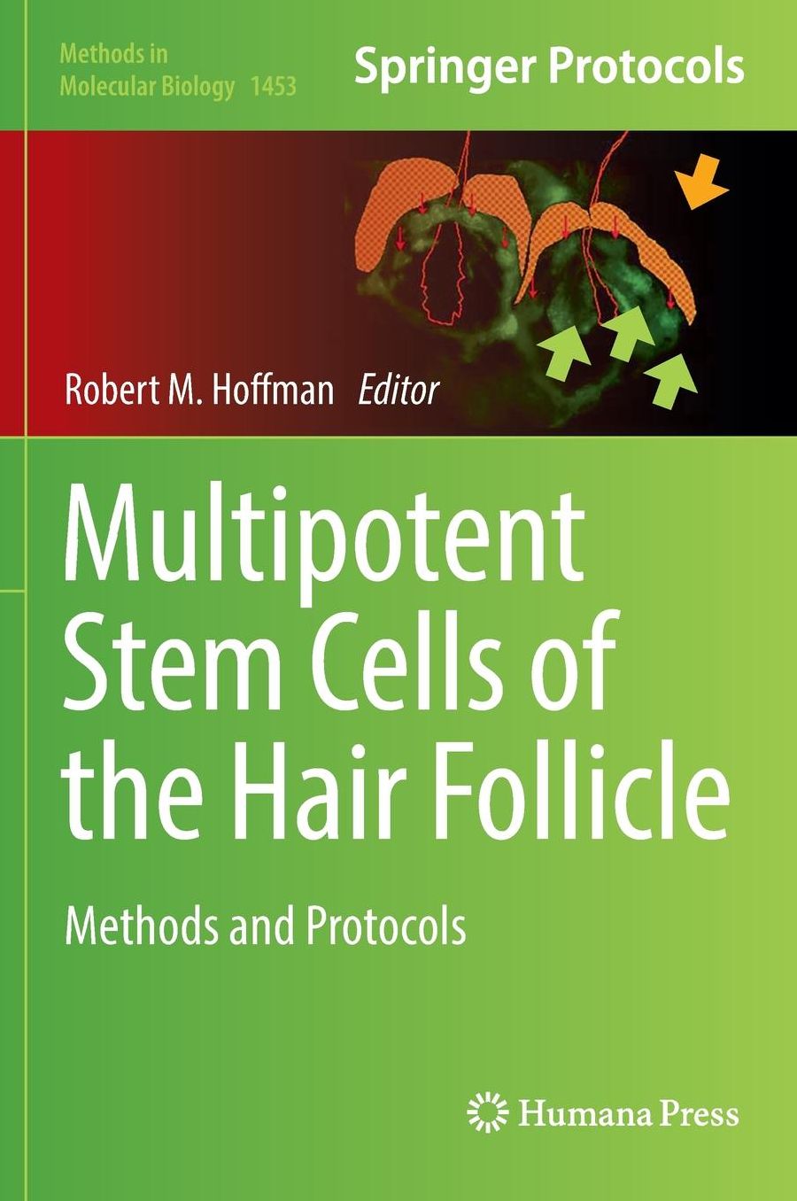 Multipotent Stem Cells of the Hair Follicle: Methods and Protocols