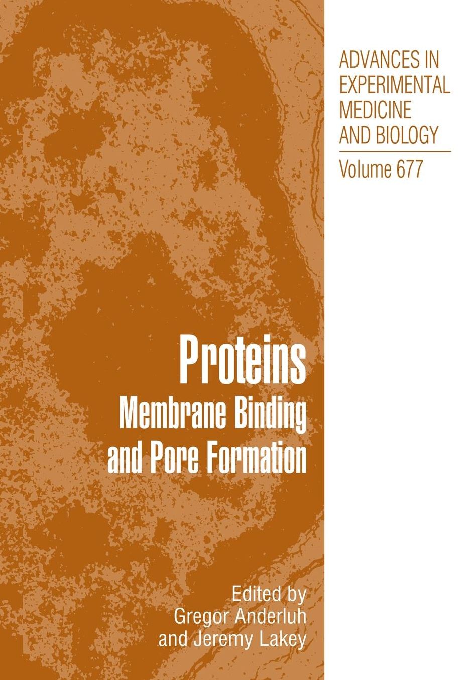 Proteins: Membrane Binding and Pore Formation