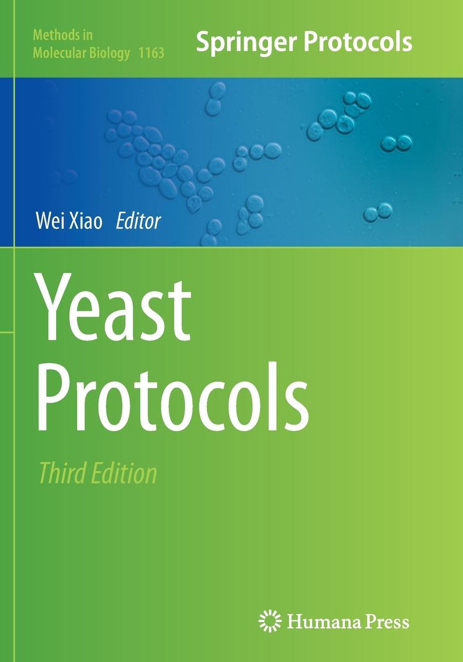 Yeast Protocols
