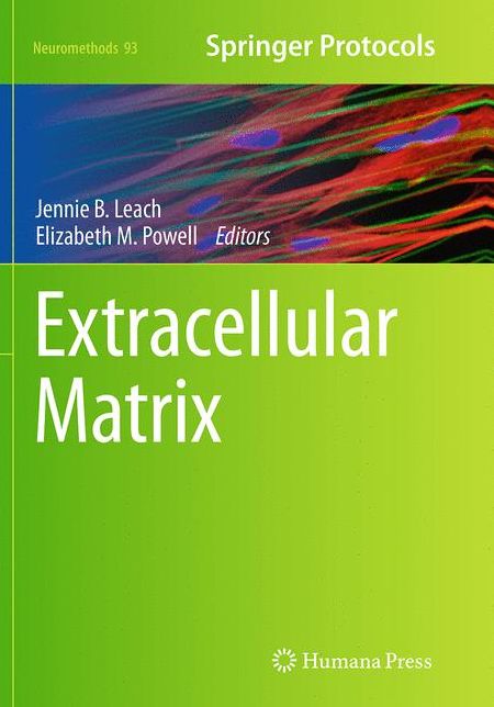 Extracellular Matrix