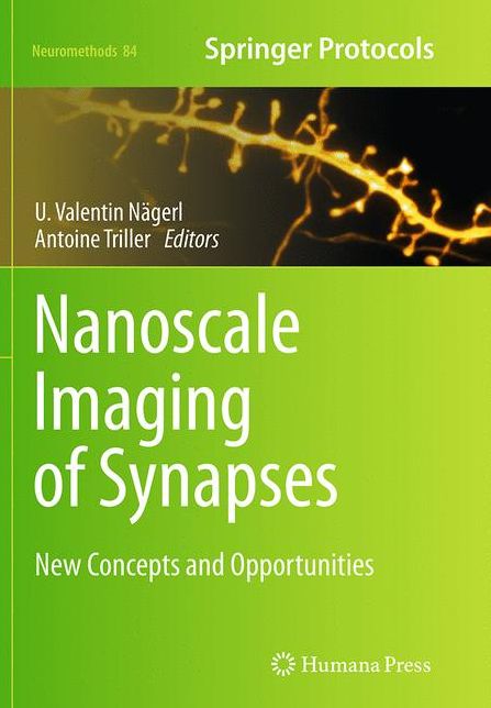 Nanoscale Imaging of Synapses: New Concepts and Opportunities