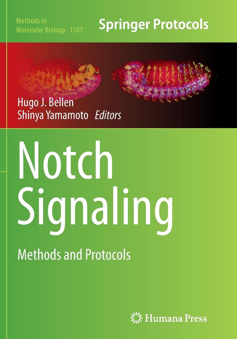 Notch Signaling: Methods and Protocols