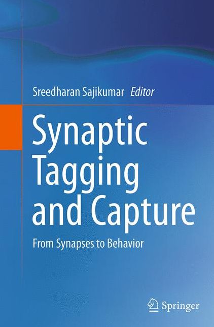 Synaptic Tagging and Capture: From Synapses to Behavior