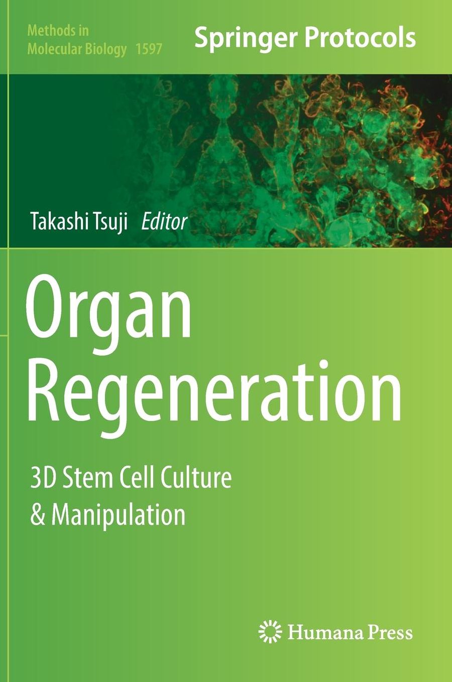 Organ Regeneration: 3D Stem Cell Culture & Manipulation