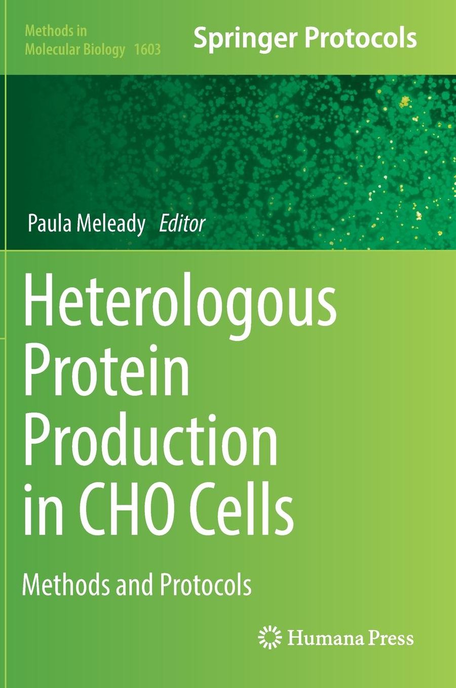 Heterologous Protein Production in CHO Cells: Methods and Protocols