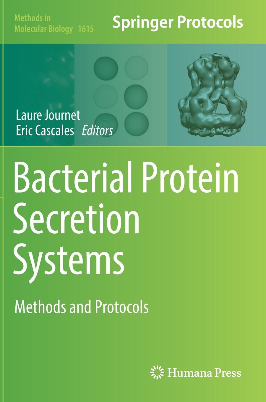 Bacterial Protein Secretion Systems: Methods and Protocols