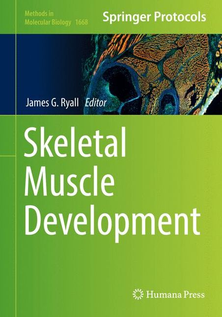 Skeletal Muscle Development