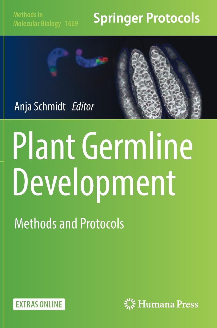 Plant Germline Development: Methods and Protocols