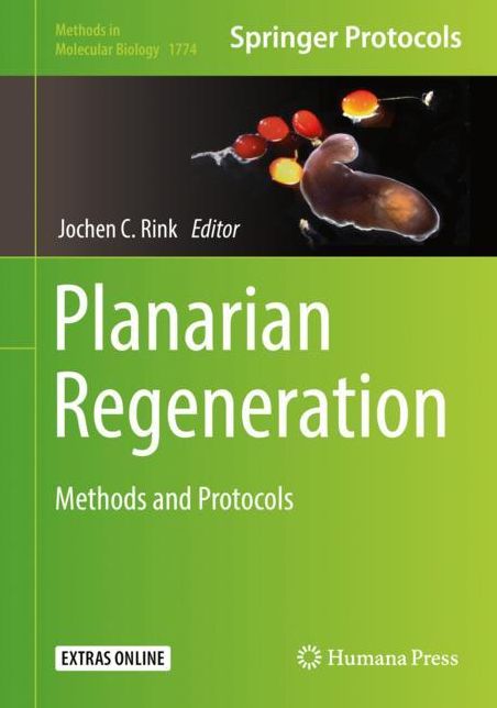 Planarian Regeneration: Methods and Protocols