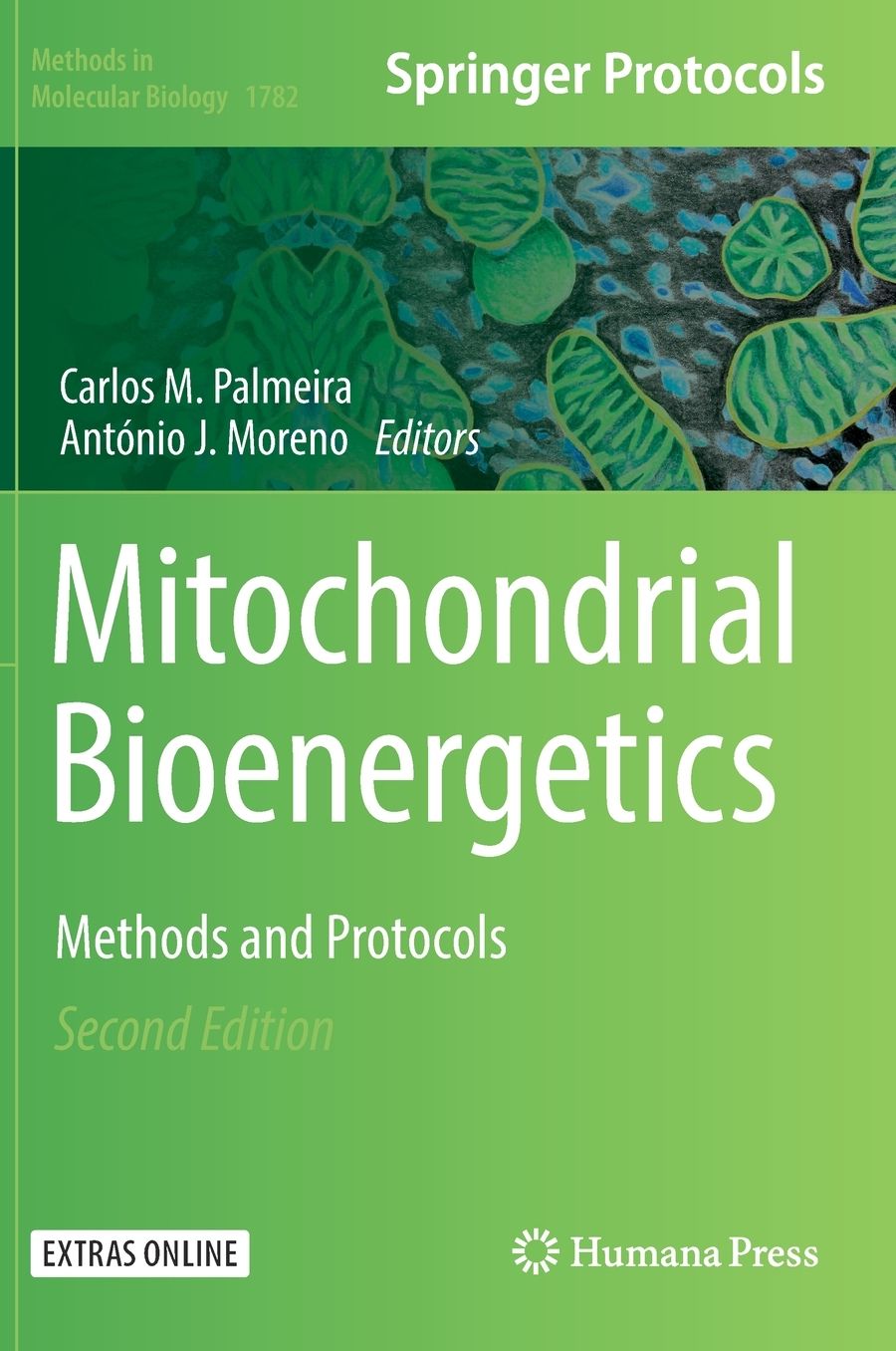 Mitochondrial Bioenergetics: Methods and Protocols
