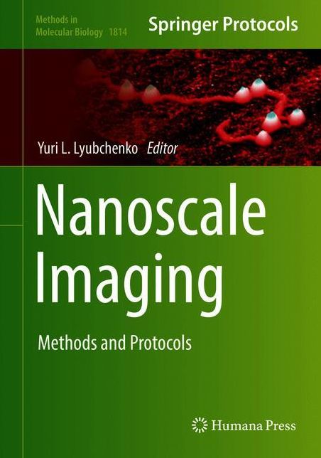 Nanoscale Imaging: Methods and Protocols