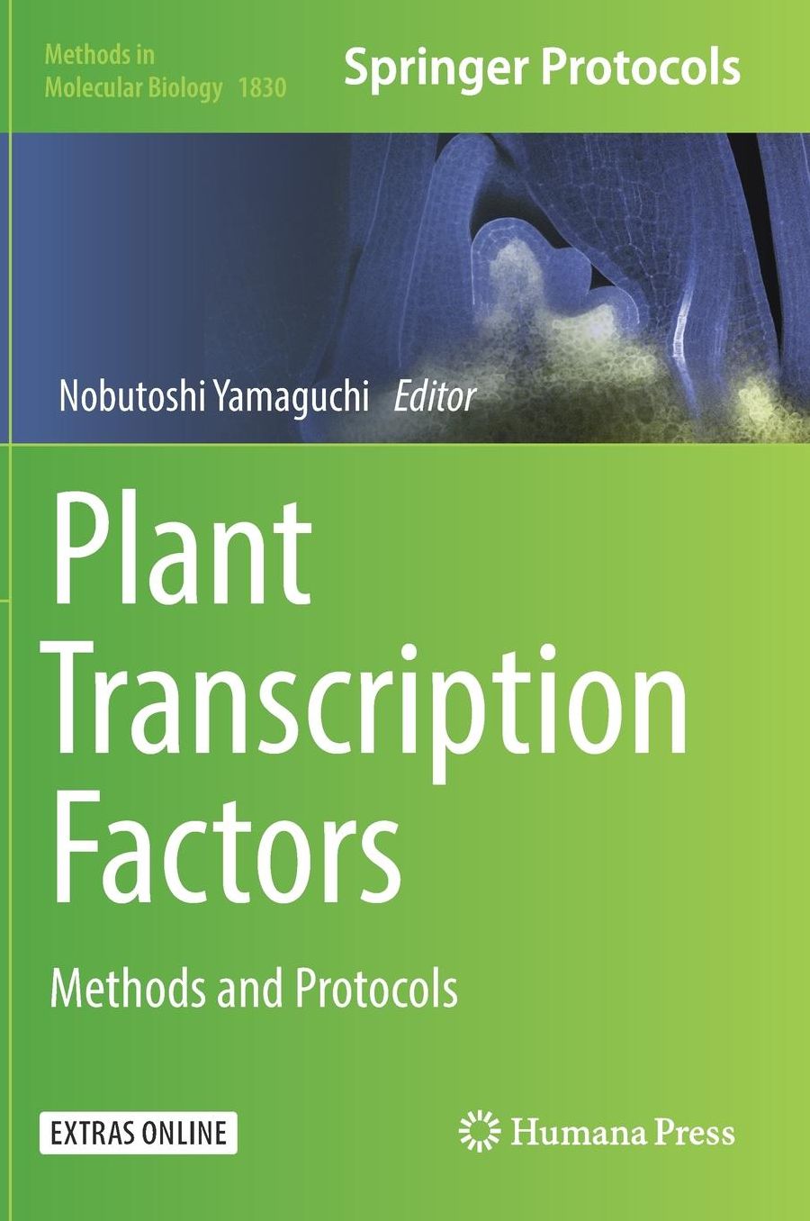 Plant Transcription Factors: Methods and Protocols