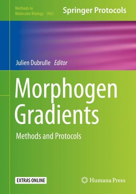 Morphogen Gradients: Methods and Protocols