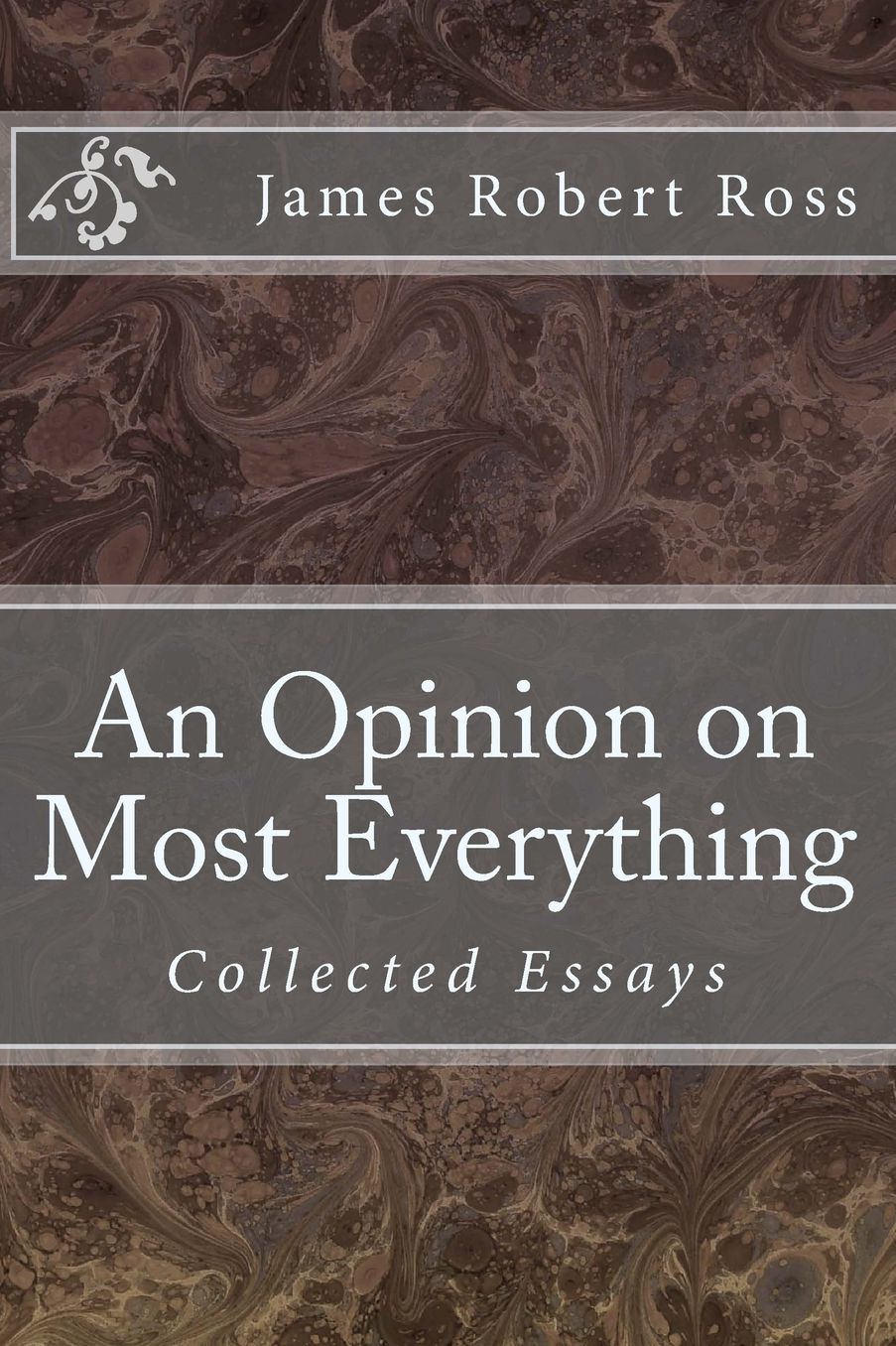 An Opinion on Most Everything: Collected Essays