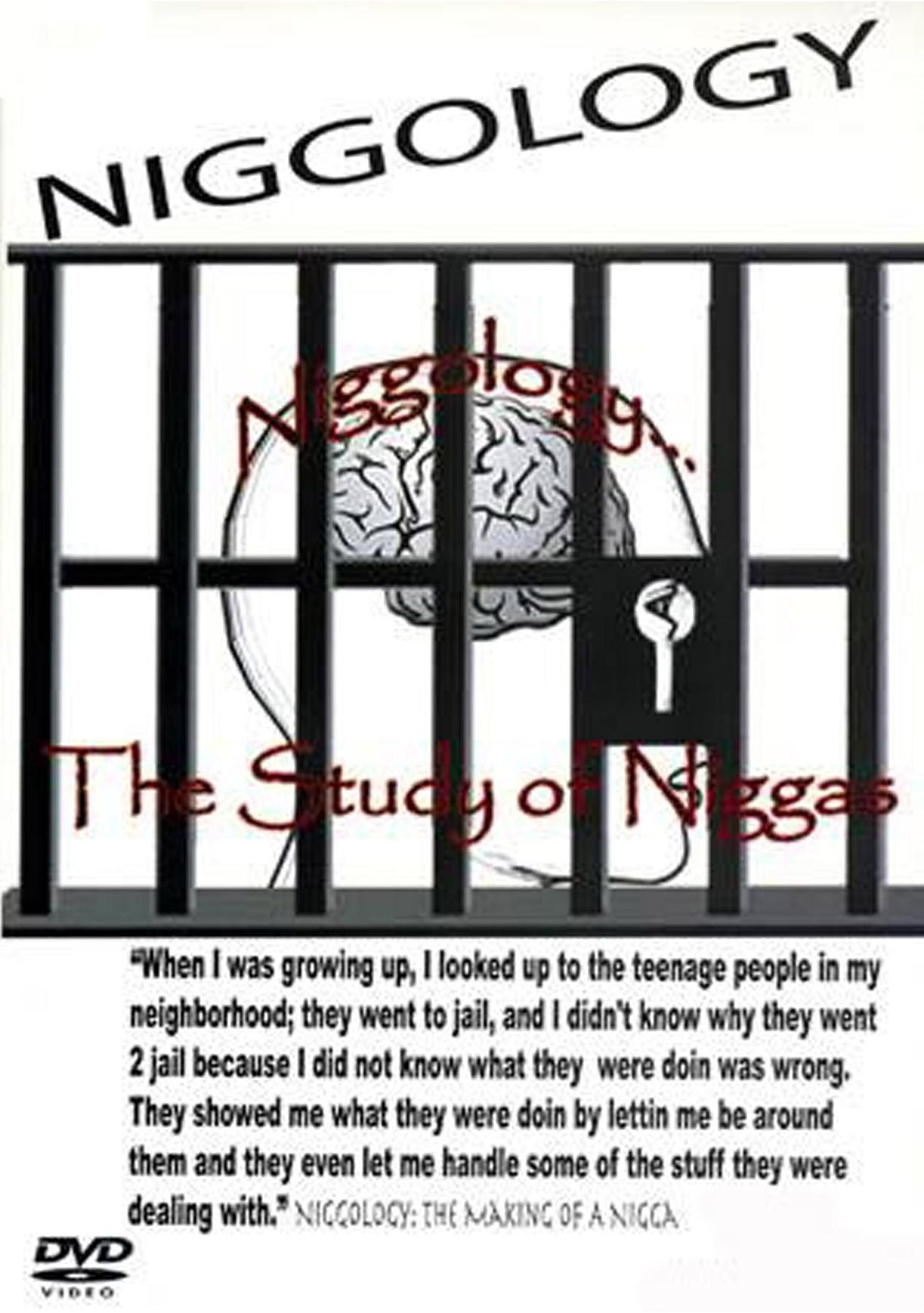 Niggology The Novel