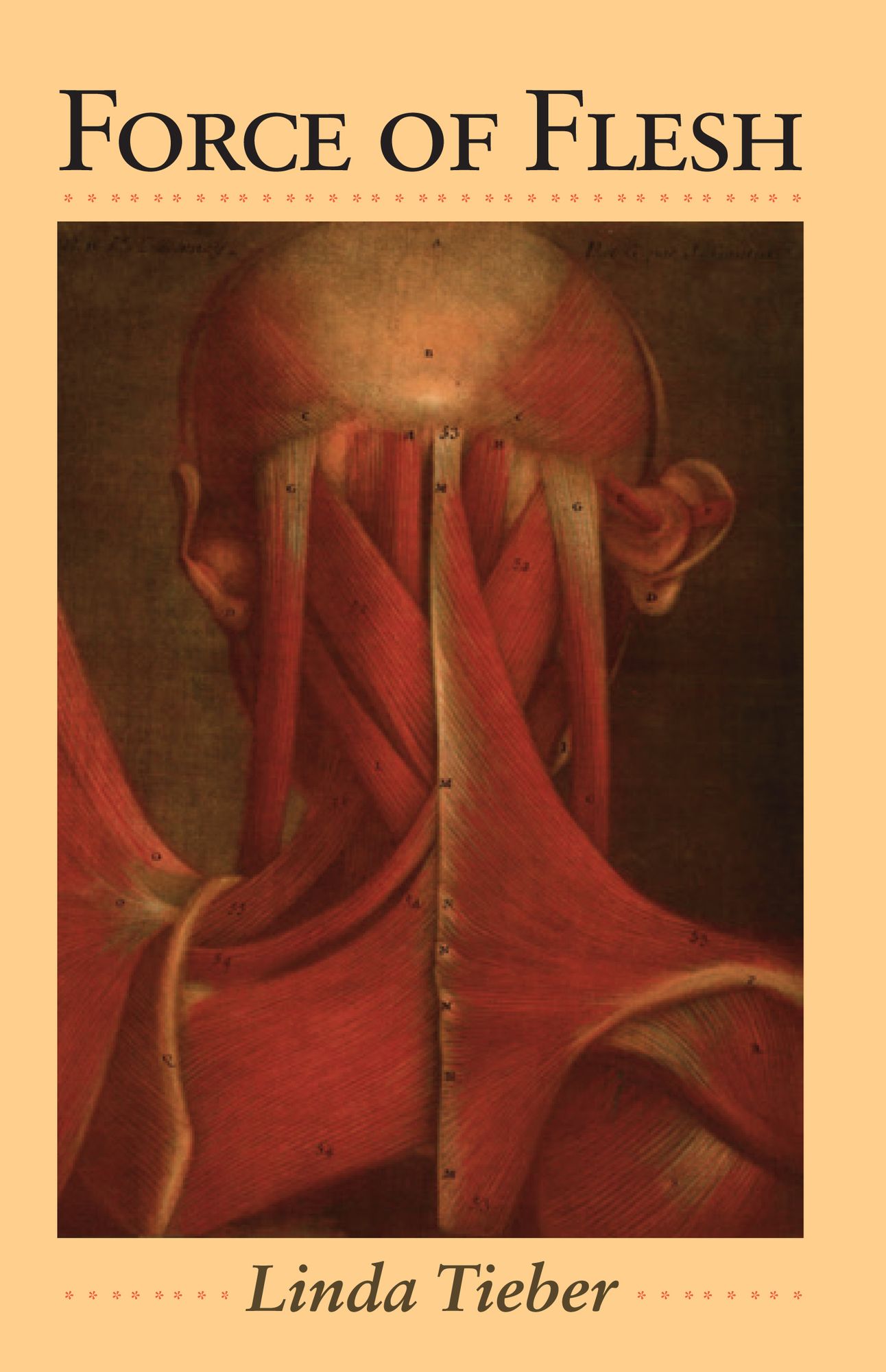 Force of Flesh