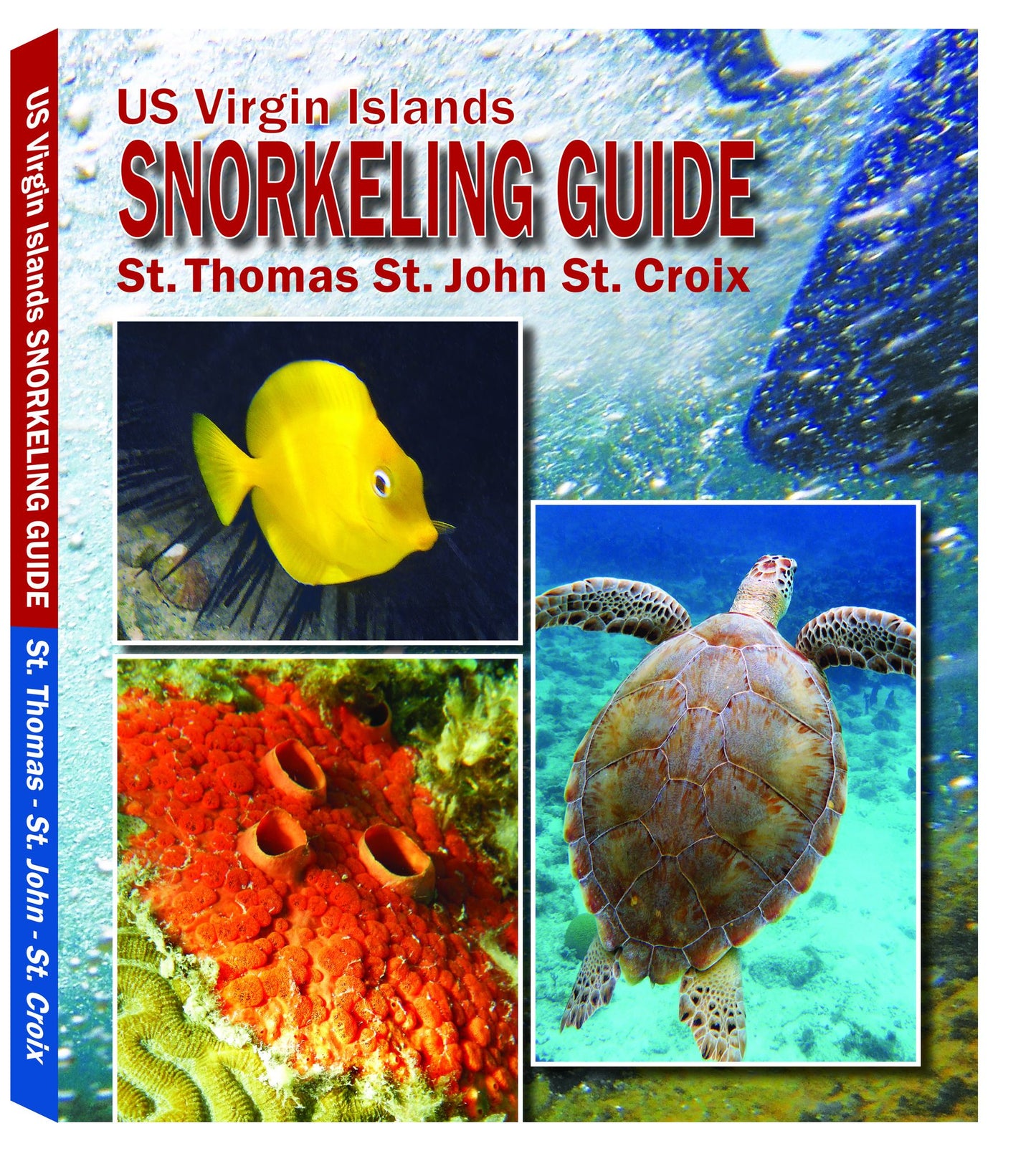 US Virgin Islands Snorkeling Guide: St. Thomas, St. John, St. Croix