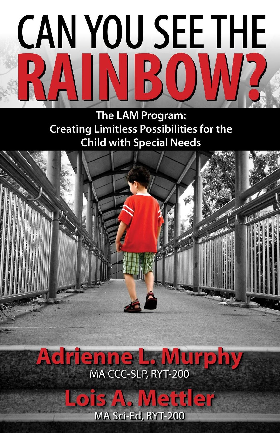 Can You See The Rainbow?: Creating Limitless Possibilities for the Child With Special Needs