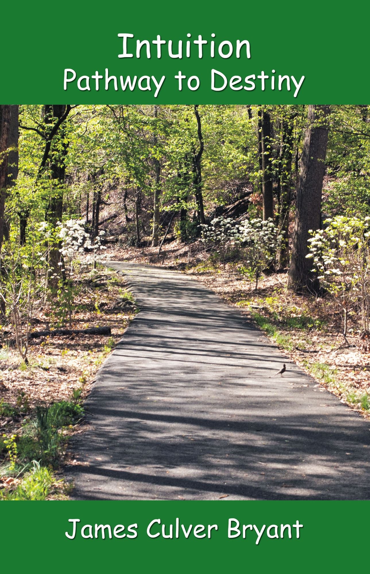 Intuition: Pathway to Destiny