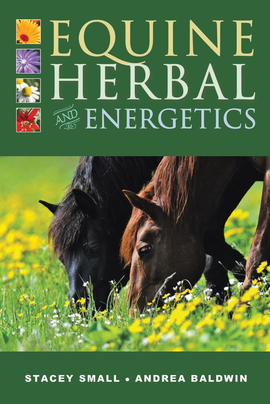 Equine Herbal Energetics