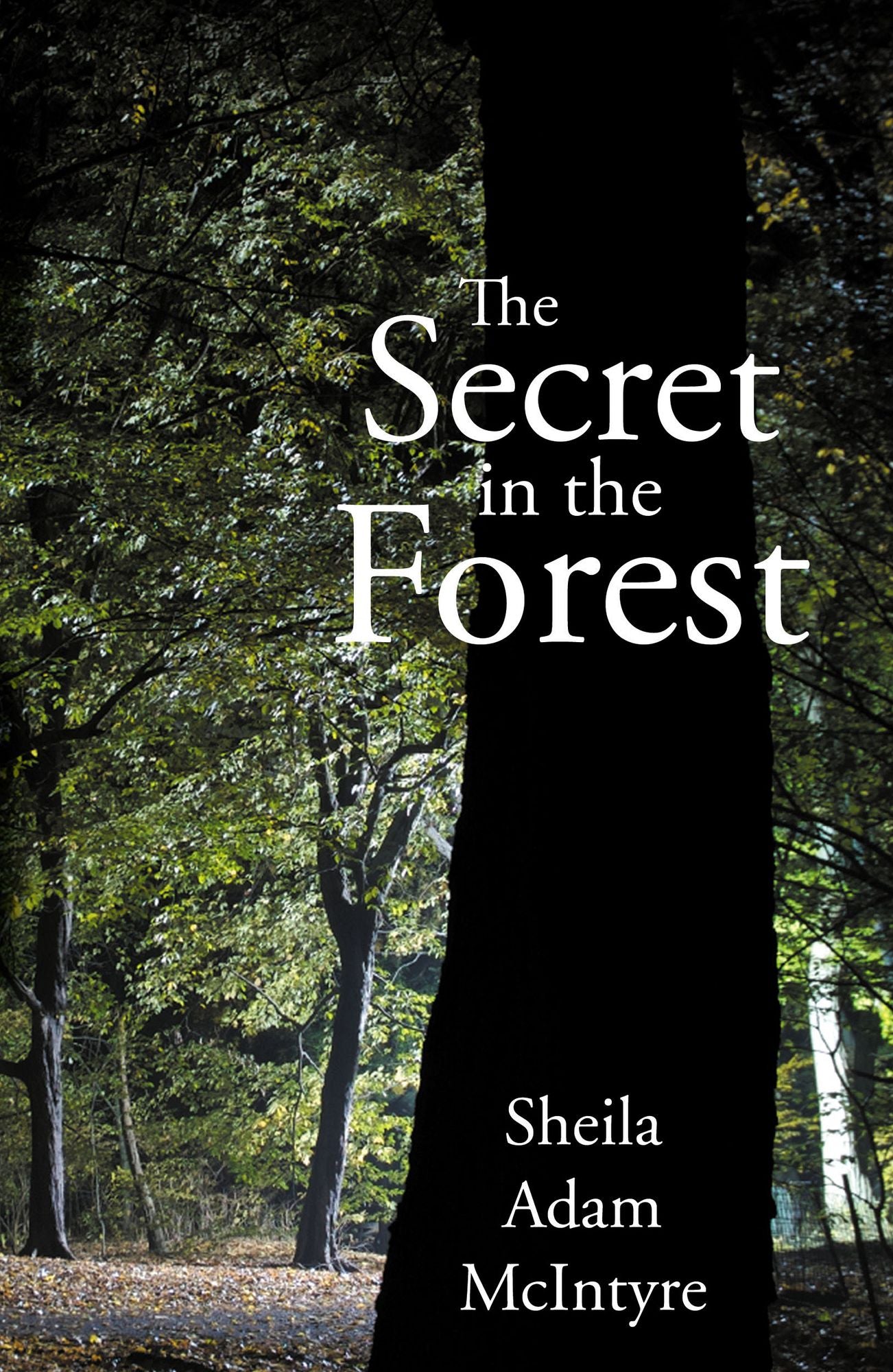 The Secret in the Forest