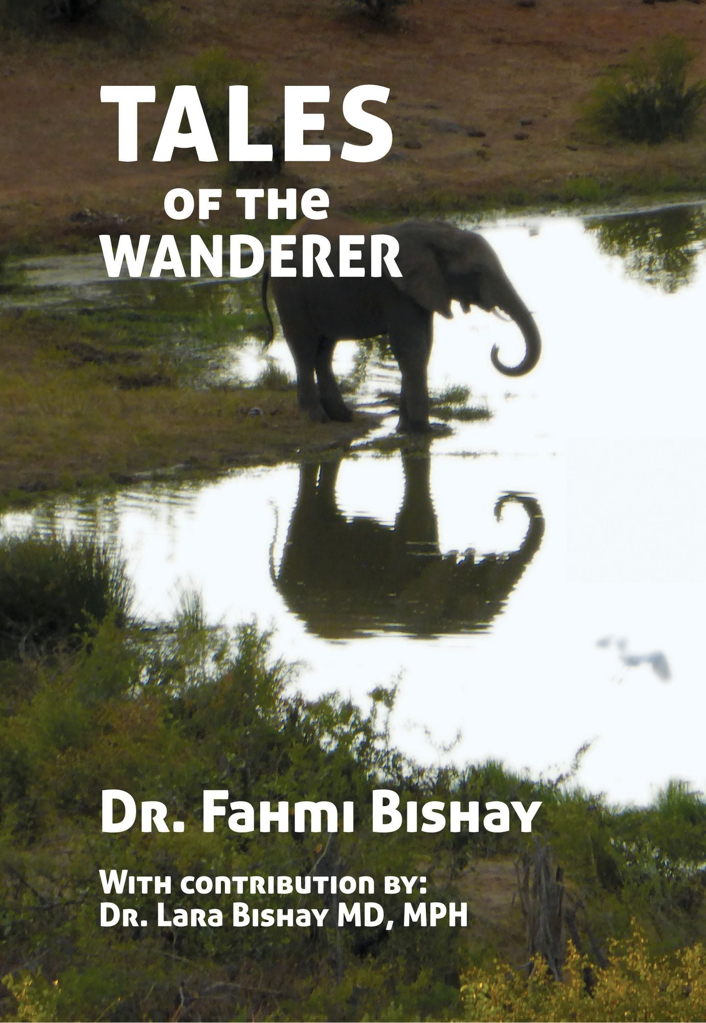 Tales of the Wanderer