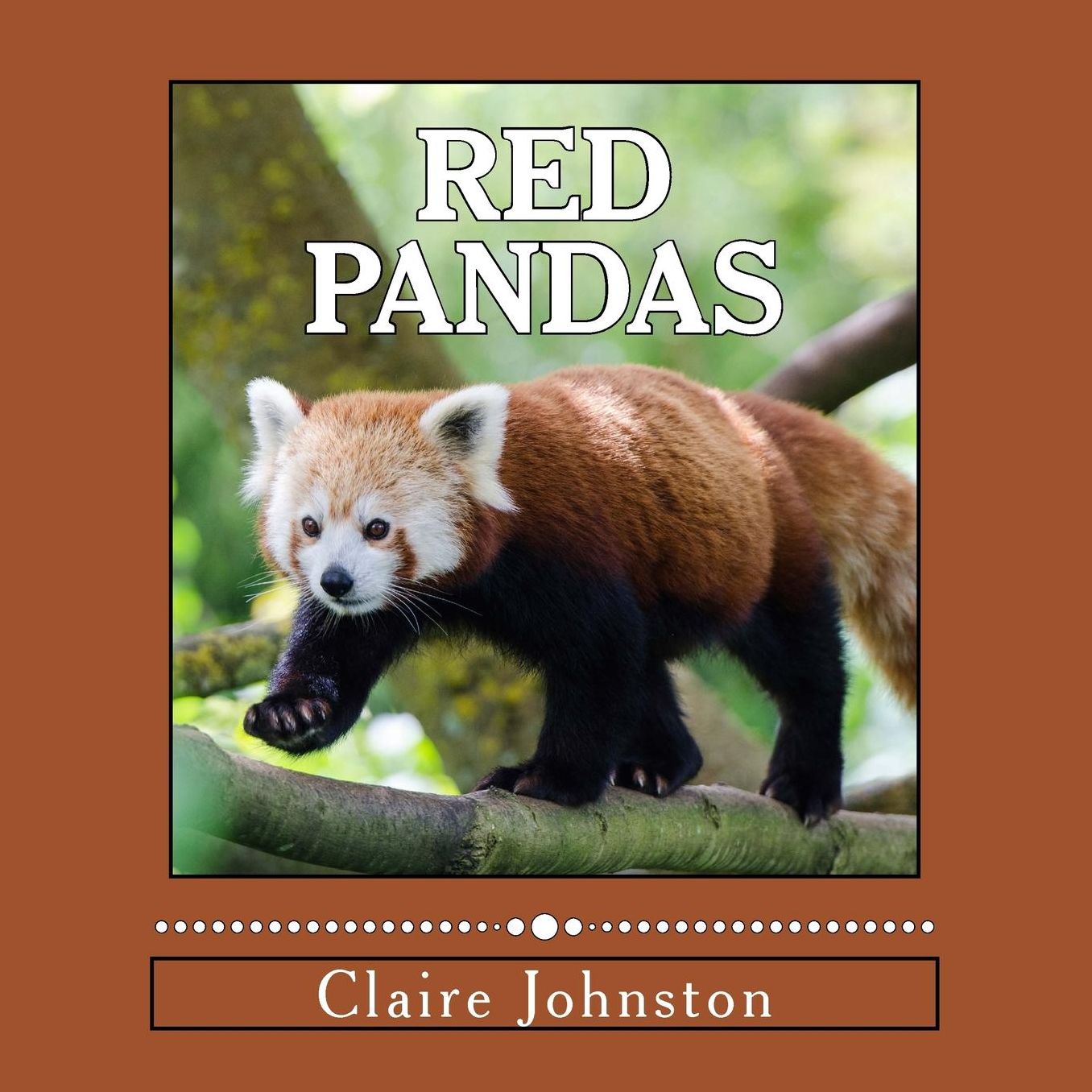 Red Pandas : Shy Forest Dwellers