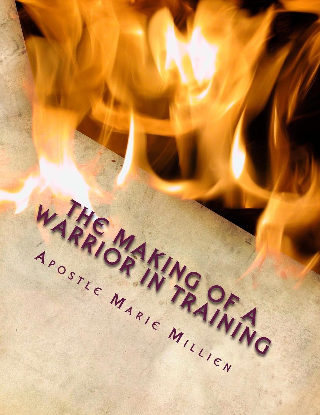 The Making of a Warrior In Training: W.I.T. Manual