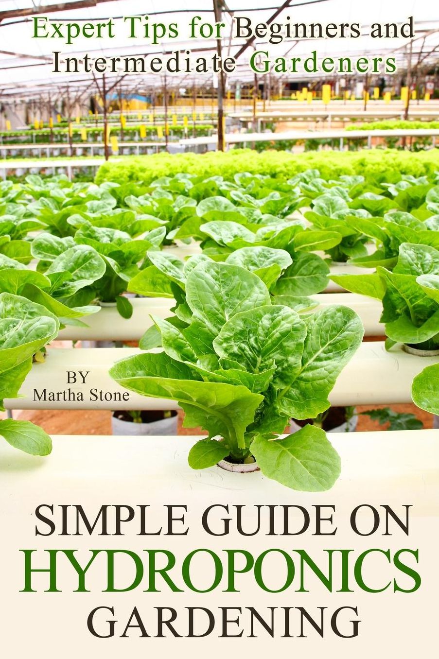Simple Guide on Hydroponics Gardening: Expert Tips for Beginners and Intermediate Gardeners
