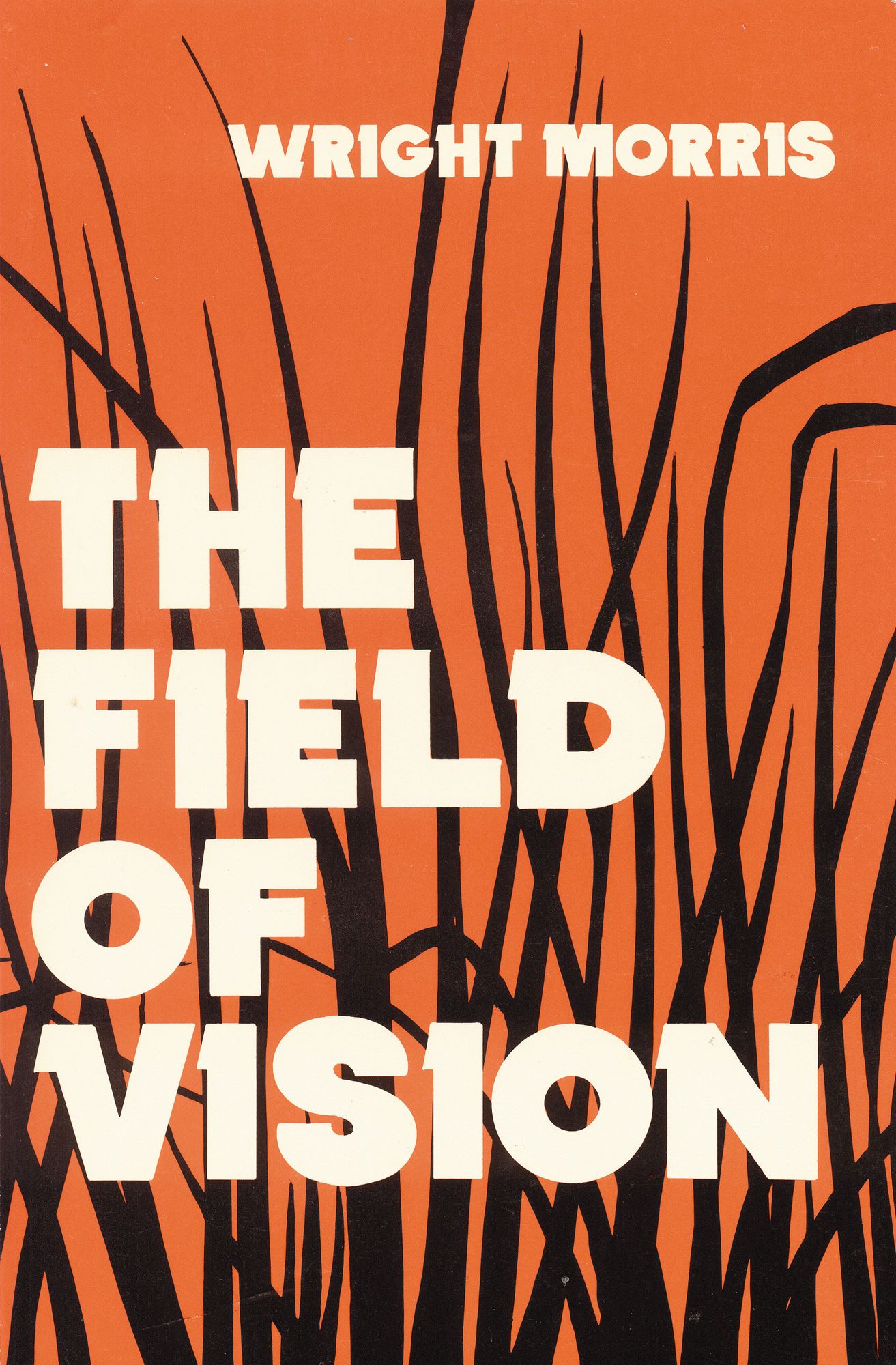 The Field of Vision
