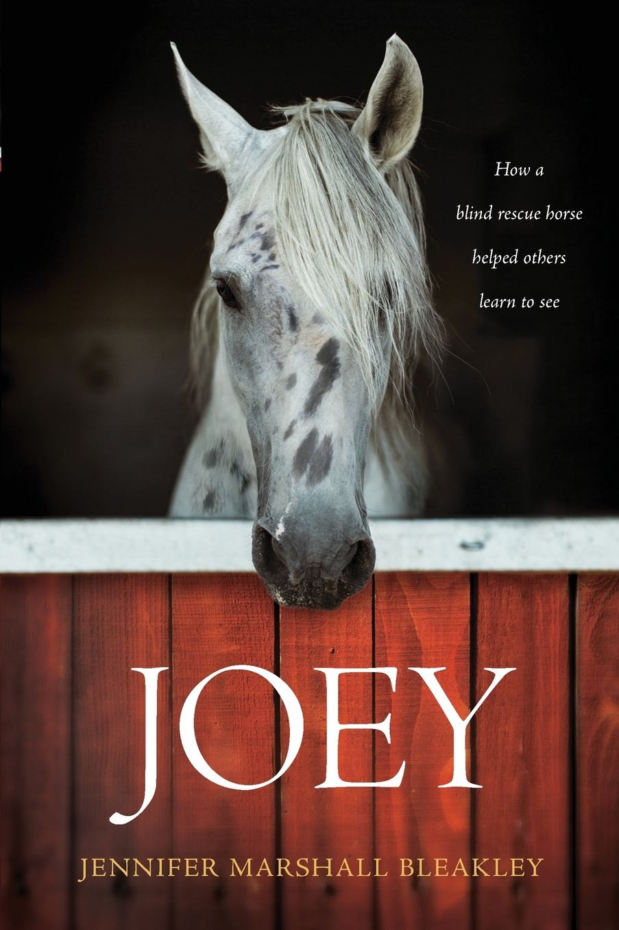 Joey: How a Blind Rescue Horse Helped Others Learn to See