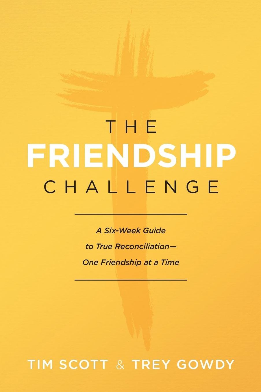 The Friendship Challenge: A Six-Week Guide to True Reconciliation--One Friendship at a Time