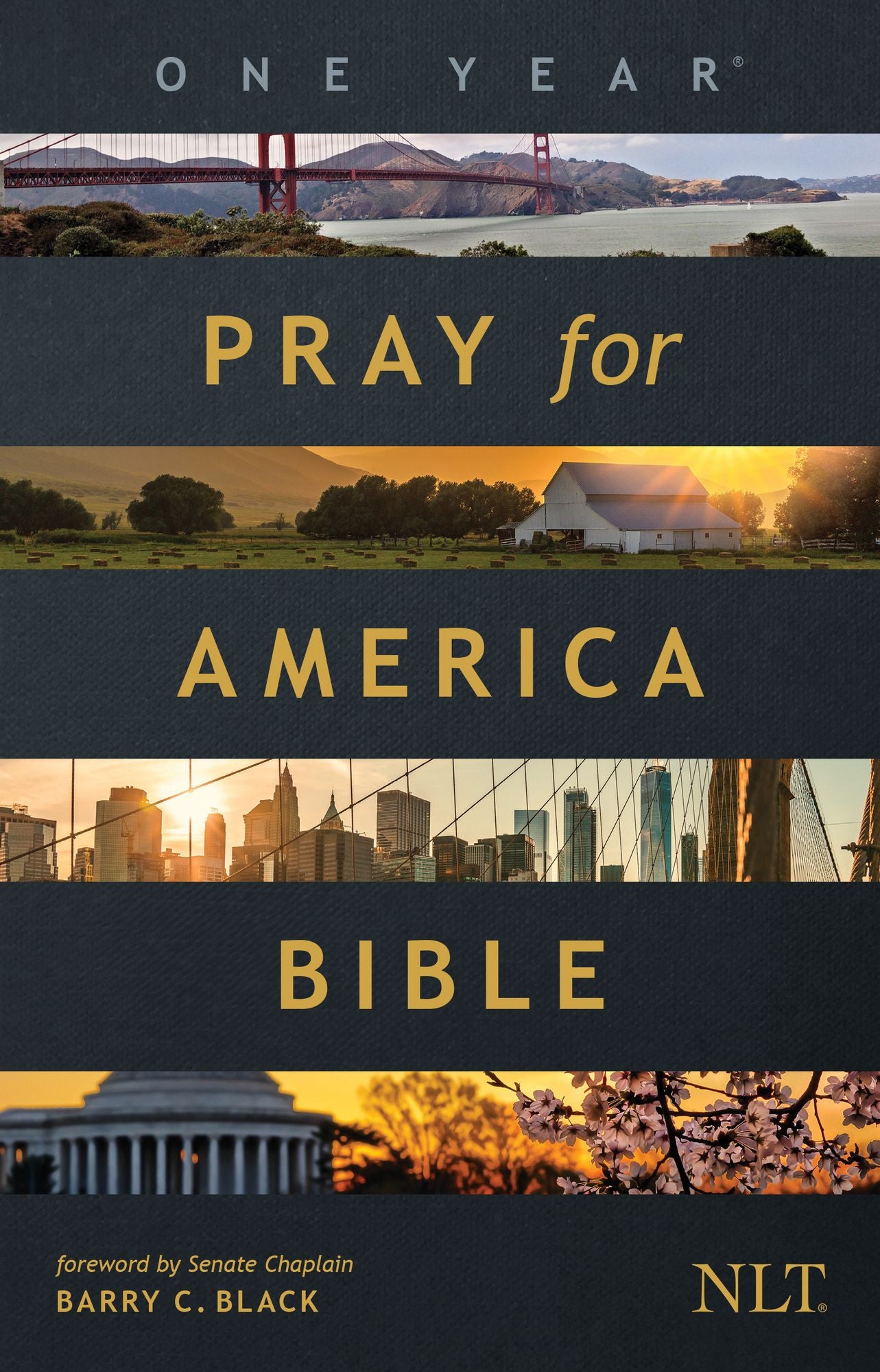 The One Year Pray for America Bible : New Living Translation